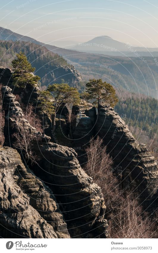 Sächsische Schweiz Landschaft Berge u. Gebirge Felsen Natur Mittelgebirge Gesteinsformationen Wald Elbsandsteingebirge Sachsen wandern Klettern Bergsteigen