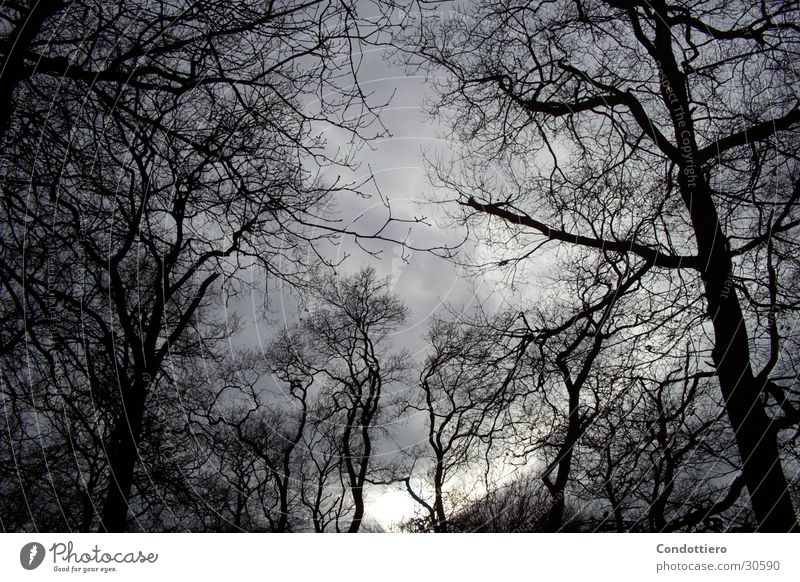 Dunkle Wolken graue Wolken dunkel bedrohlich Herbst Himmel Gewitter herbstlich