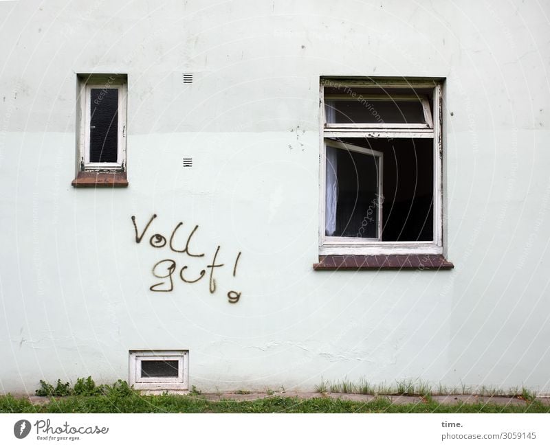 Strategie Gras Wilhelmsburg Haus Mauer Wand Fenster Schriftzeichen Graffiti eckig kaputt rebellisch trashig Begeisterung selbstbewußt Wachsamkeit Leben Neugier