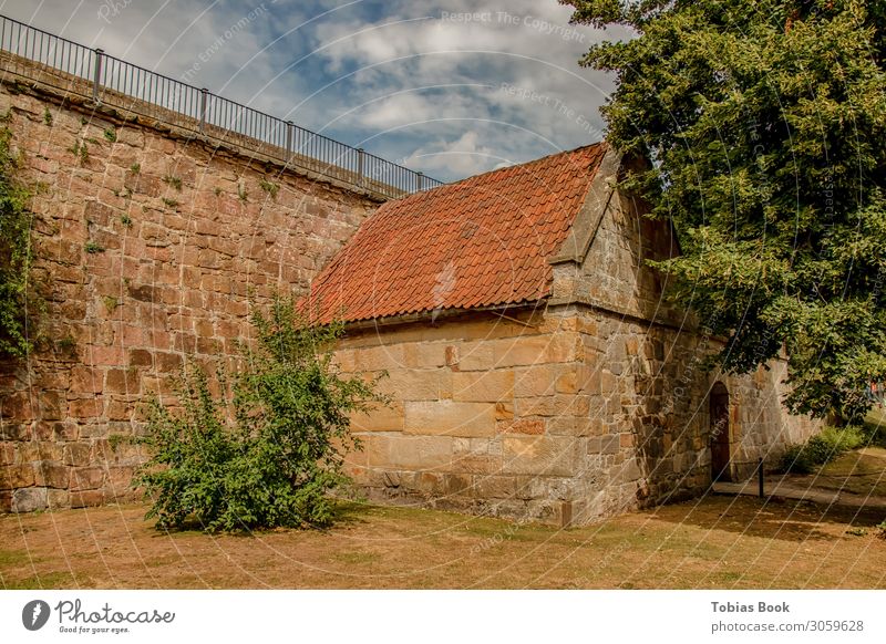 Ein Teil vergangener Geschichte Stadt bevölkert Burg oder Schloss Ruine Bauwerk Gebäude Tür Dach Freizeit & Hobby Neugier Verfall Vergangenheit Farbfoto