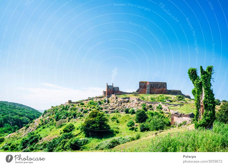 Altes Schloss auf einem grünen Hügel mit Bäumen Ferien & Urlaub & Reisen Tourismus Sommer Insel Berge u. Gebirge Natur Landschaft Himmel Gras Wald