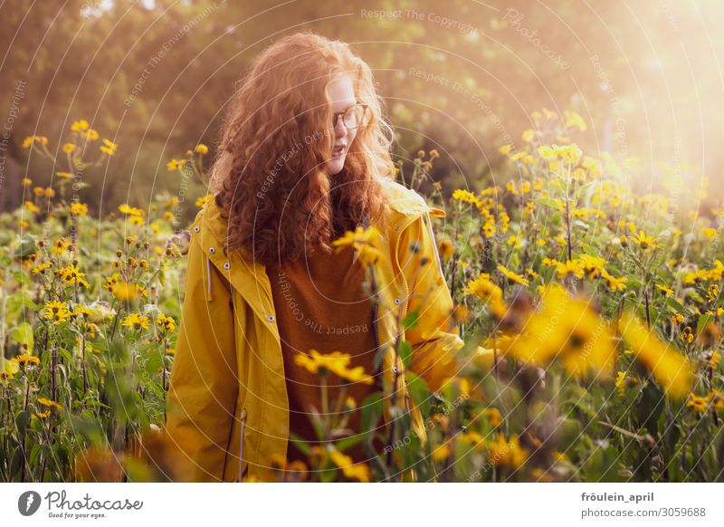 Sonnenmorgen Sommer feminin Junge Frau Jugendliche 1 Mensch 18-30 Jahre Erwachsene Natur Pflanze Schönes Wetter Park rothaarig langhaarig Locken beobachten