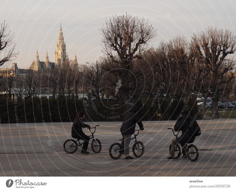 BMX in Vienna Freude Freizeit & Hobby Fahrradfahren Mensch maskulin Junger Mann Jugendliche Freundschaft 3 18-30 Jahre Erwachsene Winter Baum Wien Österreich