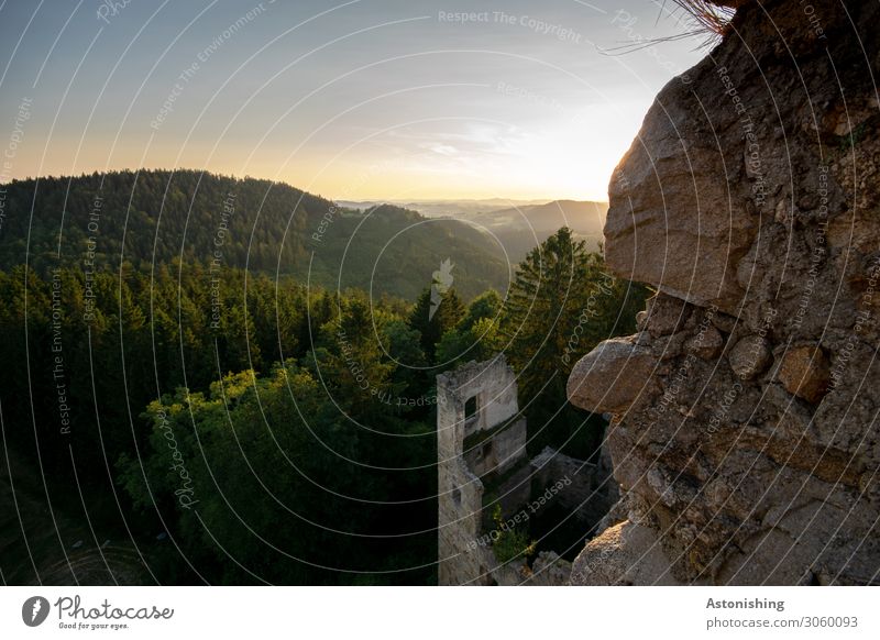 alte Mauern Umwelt Natur Landschaft Pflanze Horizont Sonne Sonnenaufgang Sonnenuntergang Sonnenlicht Sommer Wetter Schönes Wetter Baum Wald Hügel Felsen