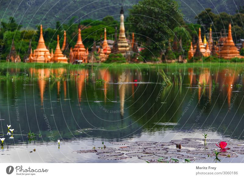 Lotus flower and Pagodas on a Lake. Ferien & Urlaub & Reisen Mensch Natur Pflanze Schönes Wetter Garten rosa Kraft Religion & Glaube pagoda Asien lotus