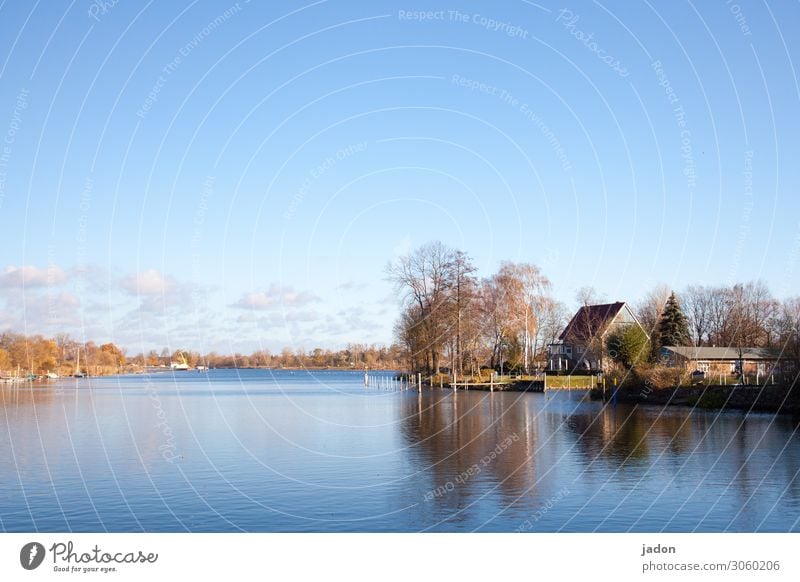 idylle am see. ruhig Natur Landschaft Wasser Himmel Horizont Herbst Schönes Wetter Baum Seeufer Flussufer Stadtrand Haus Traumhaus Häusliches Leben blau