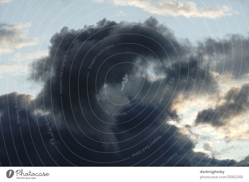 Regen Wolke vor abendlichem Himmel Umwelt Wasser nur Himmel Wolken Gewitterwolken Sonnenaufgang Sonnenuntergang Sommer Klima Wetter schlechtes Wetter Unwetter