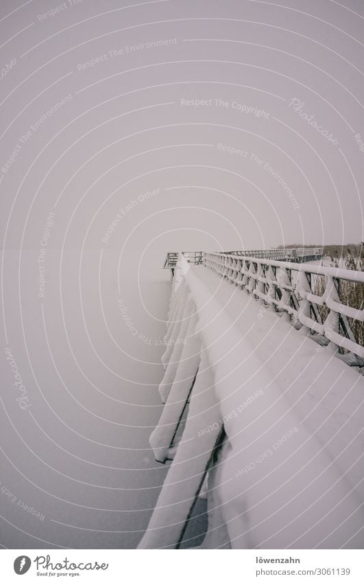 Steg im Schnee Umwelt Landschaft Wasser Winter Klima Klimawandel Seeufer Federsee Bad Buchau Oberschwaben Biberach Baden-Württemberg Dorf Bauwerk Architektur