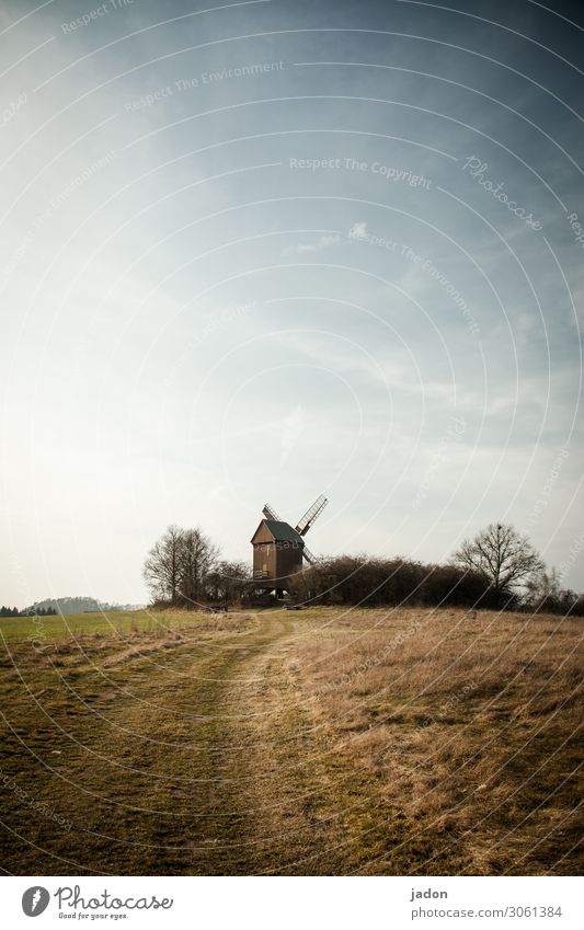 mühlberg. ruhig Arbeitsplatz Landwirtschaft Forstwirtschaft Handwerk Ruhestand Müller Windkraftanlage Landschaft Erde Himmel Baum Gras Sträucher Wiese Hügel