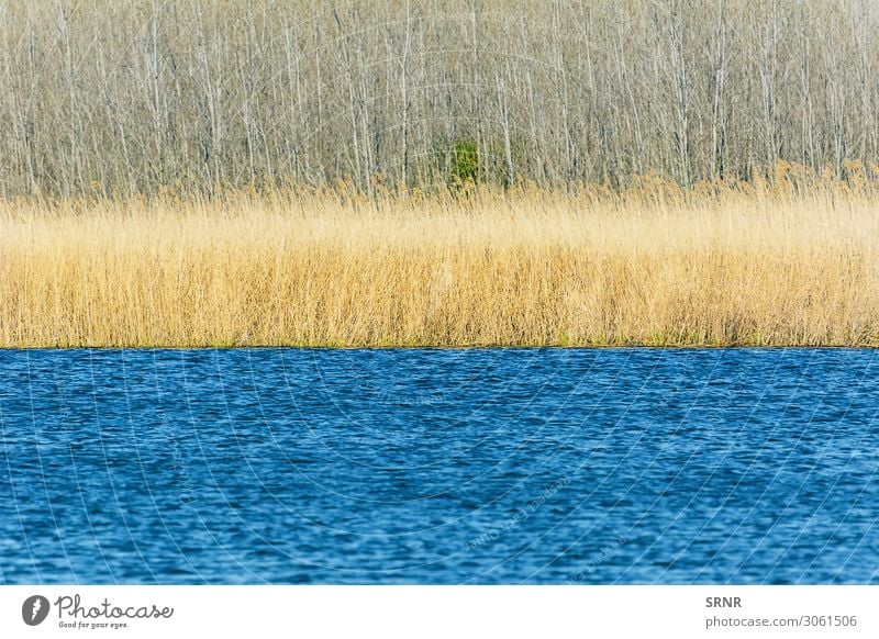 See Strand Geldinstitut Umwelt Natur Landschaft Pflanze Wasser Gras Sträucher Wald Seeufer Fluss blau Bulgarien Buchse ökologisch Ökosystem Europa Schilfrohr