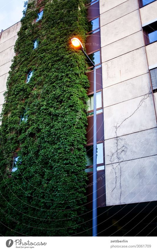 Laterne am Abend Haus Wohnhaus Wohnhochhaus Hochhaus Häusliches Leben Wohngebiet Plattenbau Neubausiedlung Mehrfamilienhaus Etage dunkel Dämmerung Feierabend