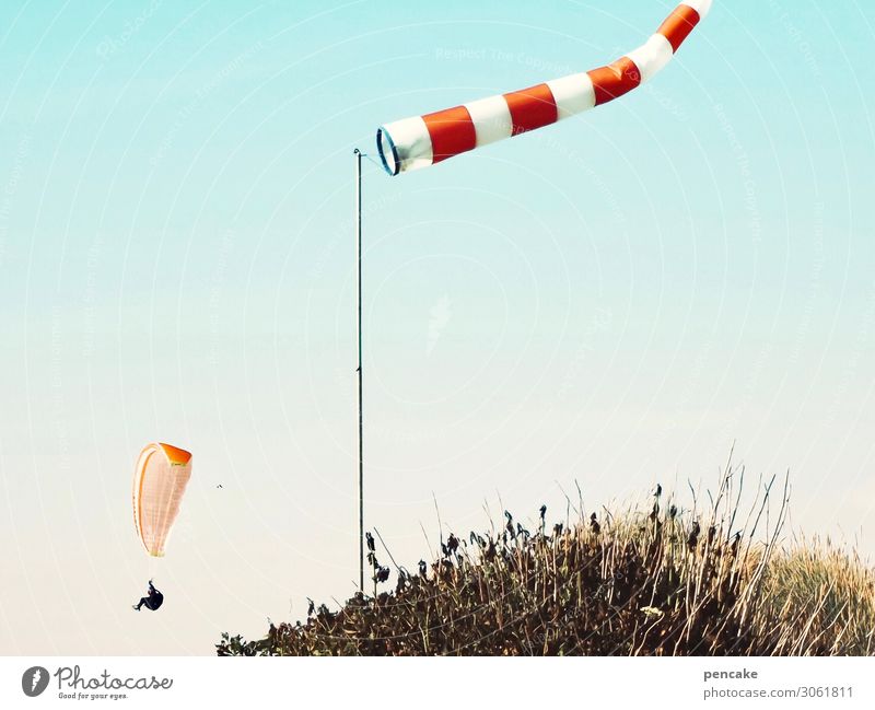 hui! Lifestyle Freude Freizeit & Hobby Natur Landschaft Wolkenloser Himmel Sommer Schönes Wetter Wind Sturm Wärme Nordsee Bewegung fliegen Gleitschirmfliegen