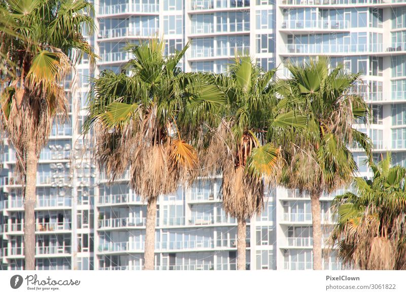 Florida Häusliches Leben Wohnung Stadt Stadtzentrum Haus Bauwerk Gebäude Architektur Fassade ästhetisch schön blau Ferien & Urlaub & Reisen Reichtum Farbfoto