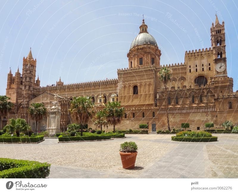 Palermo Cathedral Handwerk Kunst Park Stadt Altstadt Dom Marktplatz Turm Bauwerk Gebäude Architektur Fassade Stein alt historisch kathedrale von palermo