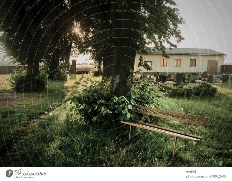 Das große Schweigen Umwelt Natur Luft Wolkenloser Himmel Sonne Schönes Wetter Pflanze Baum Gras Sträucher Hütte Tor Gebäude Fenster Wege & Pfade leuchten