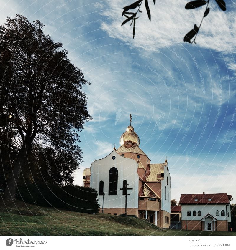 Koszalin Himmel Wolken Baum Gras Blatt Zweig Polen Osteuropa Kleinstadt Haus Kirche Bauwerk Gebäude Fenster Tür Sehenswürdigkeit Stein Beton Metall leuchten