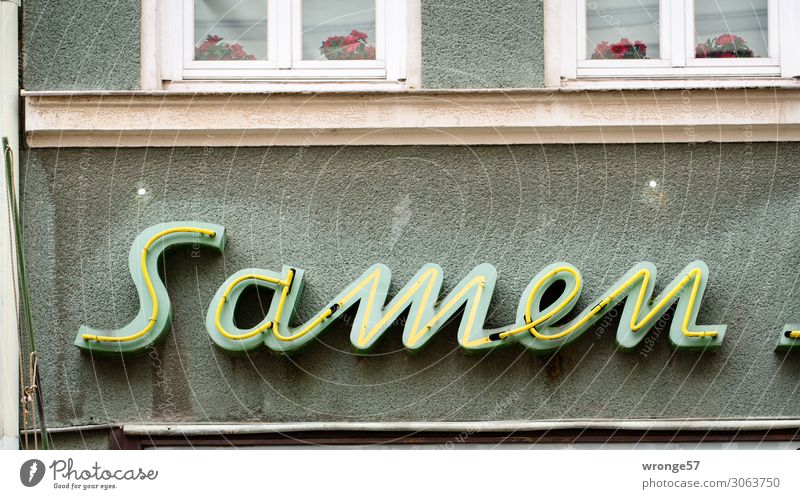 Samenbank Mauer Wand Fassade Stein Glas Schriftzeichen alt Stadt kaufen Wandel & Veränderung Leuchtreklame Handel Neonlicht Farbfoto Gedeckte Farben