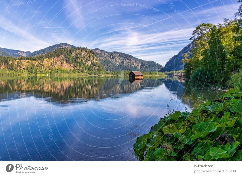 Hütte im See Tourismus Ausflug Sommer Sommerurlaub wandern Natur Landschaft Himmel Schönes Wetter Pflanze Wald Alpen Berge u. Gebirge frei schön Hoffnung Idylle