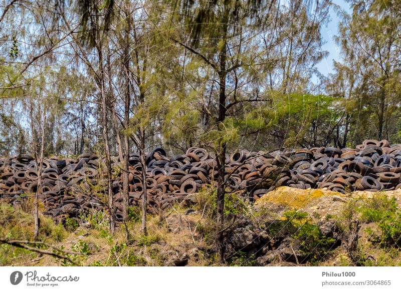 Entsorgung von Altreifen in der Natur in der Nähe der Stadt schön Geldinstitut Business Mutter Erwachsene Umwelt Erde Küste dreckig grün Afrika Kenia