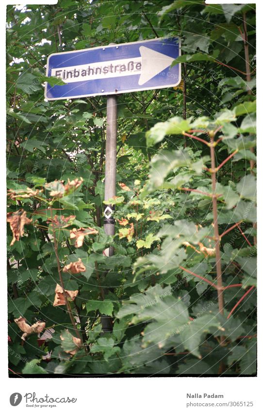 Einbahnstraße Menschenleer Metall Verkehrszeichen drehen blau grün weiß Ende ausweglos Pfeil alternativlos Farbfoto Außenaufnahme Tag