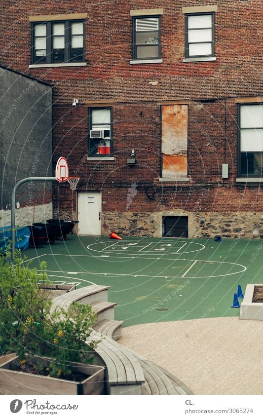 hinterhof in harlem Freizeit & Hobby Spielen Sport Ballsport Basketball Sportstätten Pflanze New York City Hinterhof USA Stadt Haus Platz Spielplatz Architektur