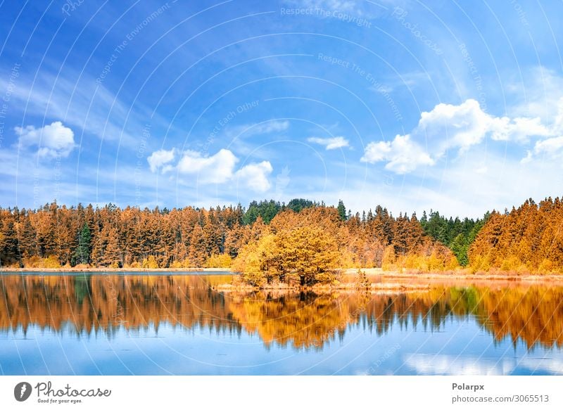 Herbstliche Seenlandschaft mit bunten Bäumen Ferien & Urlaub & Reisen Umwelt Natur Landschaft Himmel Baum Blatt Park Wald Küste Teich Fluss frisch hell