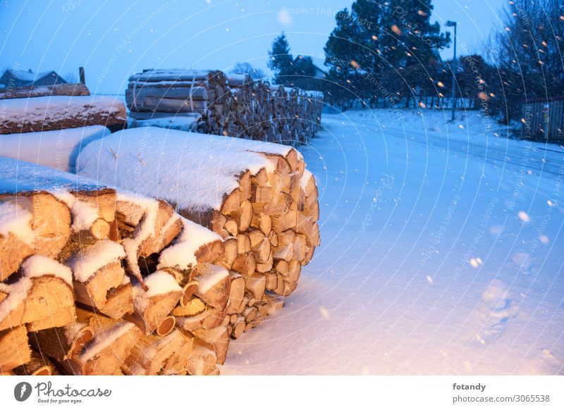 Firewood near a road illuminated Winter Schnee Berge u. Gebirge Landwirtschaft Forstwirtschaft Baustelle Umwelt Natur Landschaft Wetter schlechtes Wetter Eis