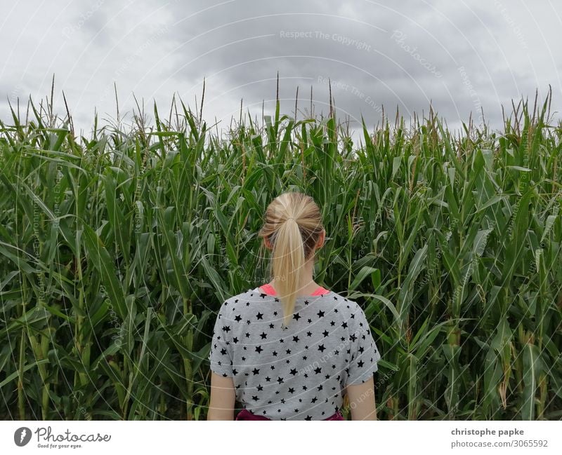 Blonde Frau steht vor Maisfeld feminin stehen blond Zopf Natur natürlich Feld Landwirtschaft Biologische Landwirtschaft Wachstum Farbfoto Außenaufnahme