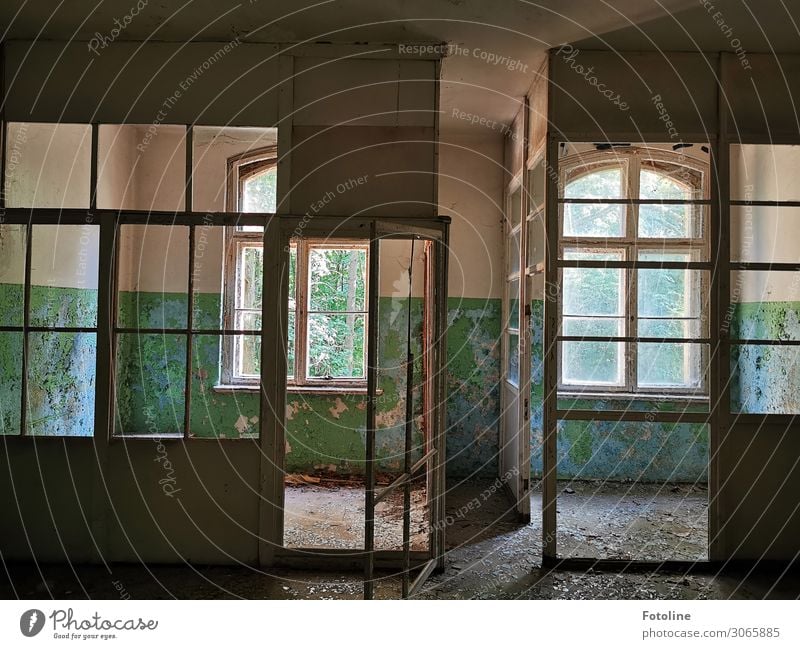 Blick in die Vergangenheit Haus Bauwerk Gebäude Architektur Fenster Tür alt hell lost places Verfall abblättern Unbewohnt Fensterkreuz dreckig Farbfoto