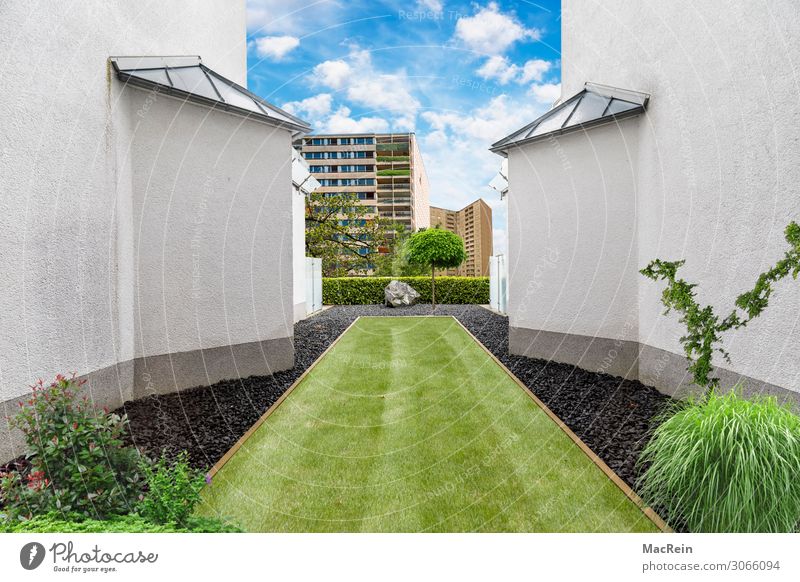 Bepflanzung Dachterrasse Pflanze Himmel Wolken Sommer Schönes Wetter Sträucher Farn Garten Wiese Hochhaus Balkon Terrasse grün Gefühle Stimmung Frühlingsgefühle