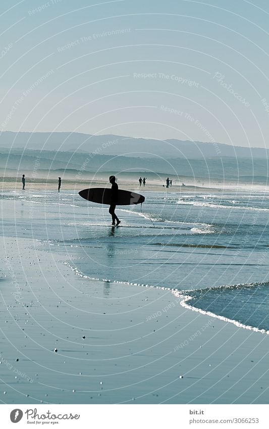 Surfer am Strand von Sidi Kaouki, Marokko. sportlich ruhig Schwimmen & Baden Freizeit & Hobby Ferien & Urlaub & Reisen Tourismus Abenteuer Ferne Freiheit Sommer