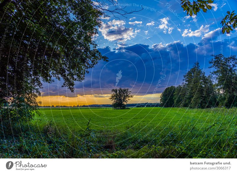 Sonnenuntergang Feld Natur Mecklenburg Landschaft Pflanze Himmel Wolken Horizont Sonnenaufgang Sommer Baum Gras Wiese Wald blau gelb grün orange weiß