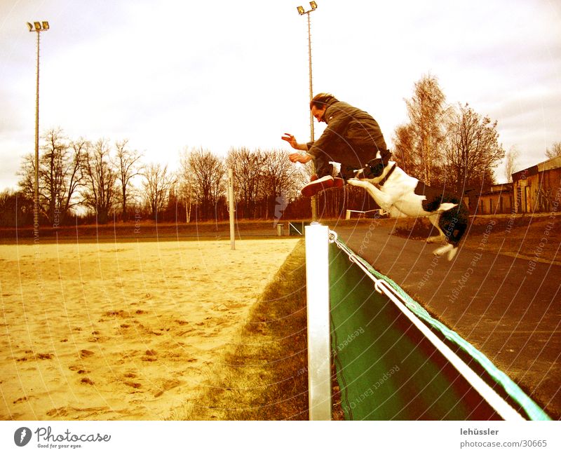 hund_mensch_sprung Hund springen Zaun Sportplatz Mensch Sand