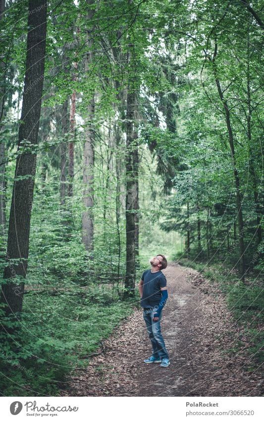 #A# Da Guckst'e! Kunst ästhetisch Natur Naturschutzgebiet Naturliebe Naturerlebnis wandern Außenaufnahme Wald Fußweg entdecken oben hoch Farbfoto