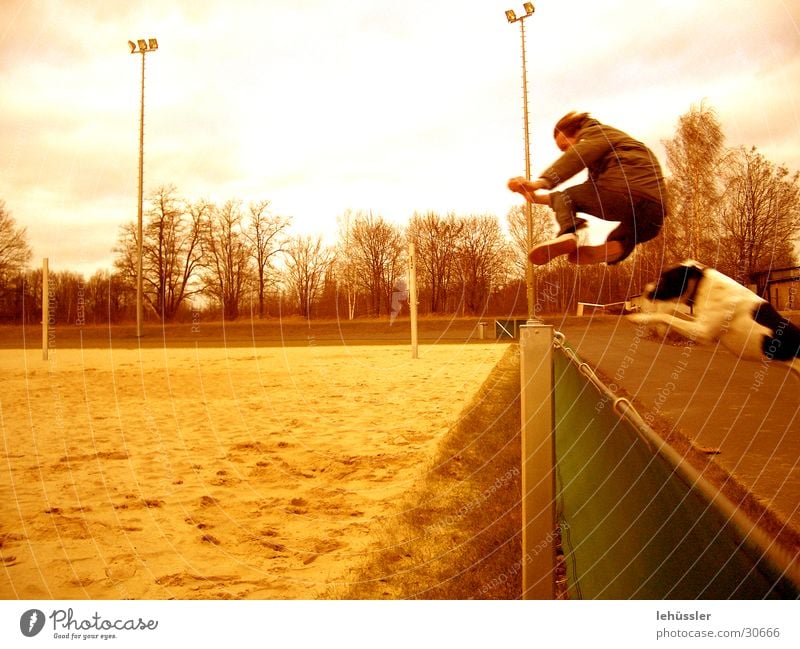 hund mensch sprung 2 Hund springen Zaun Sportplatz Mensch Sand