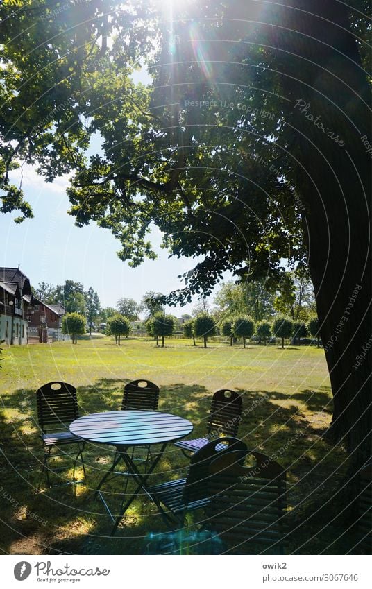 Parkbeleuchtung Umwelt Natur Landschaft Pflanze Luft Wolkenloser Himmel Horizont Sonne Sommer Schönes Wetter Baum Gras Wiese Allee Haus Klappstuhl Klapptisch