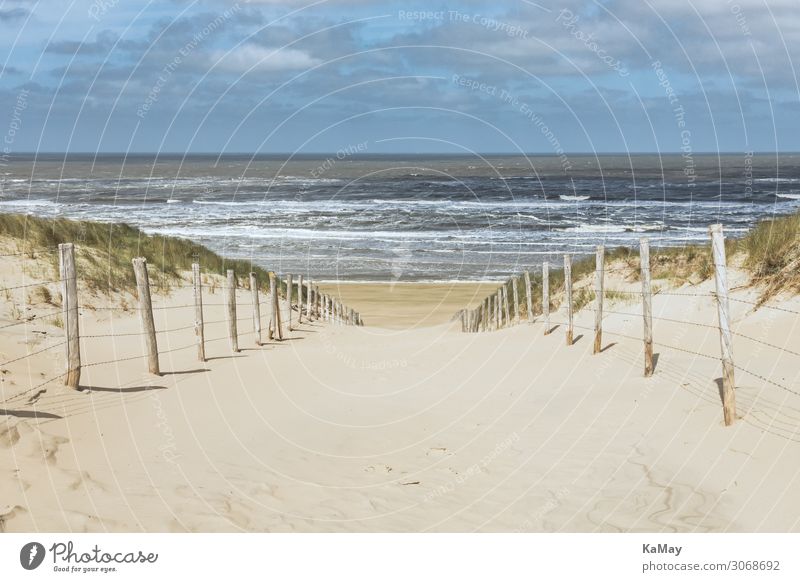 Auf zum Meer! Ferien & Urlaub & Reisen Tourismus Sommer Sommerurlaub Strand Wellen Natur Landschaft Sand Wasser Wolken Frühling Küste Nordsee Zandvoort