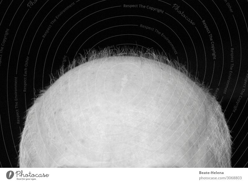 Babyflaum schön Haare & Frisuren Haut Kopf kurzhaarig Glatze Behaarung alt beobachten berühren leuchten ästhetisch elegant glänzend groß Identität einzigartig