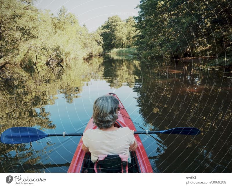 Kreuzfahrt Freizeit & Hobby Ferien & Urlaub & Reisen Tourismus Ausflug Freiheit Frau Erwachsene Leben Kopf Rücken Hinterkopf 1 Mensch Umwelt Natur Landschaft