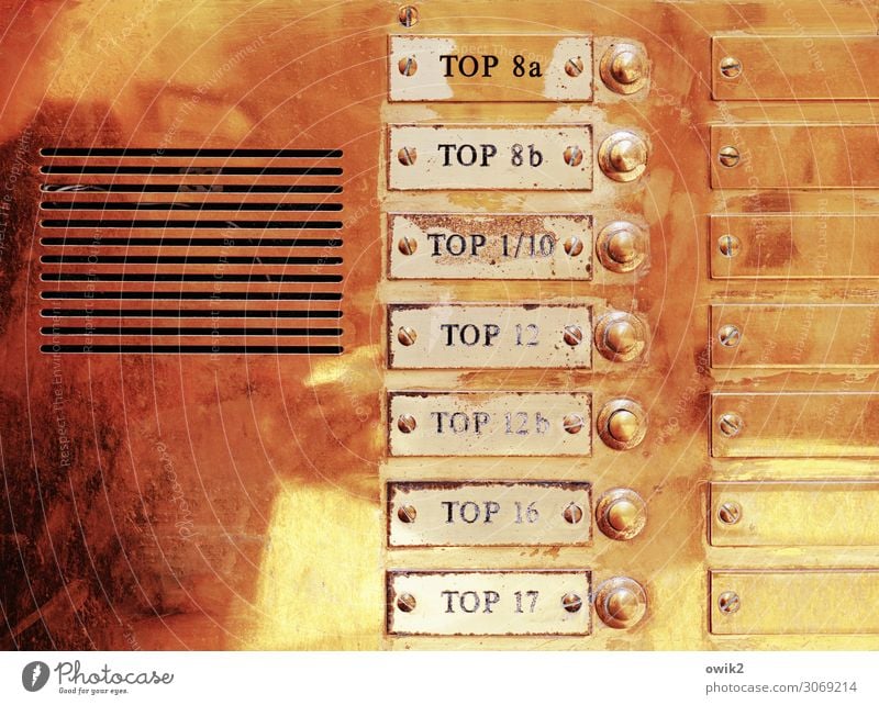 Nicht zu toppen Häusliches Leben Wien Klingel Haus Namensschild Gegensprechanlage anonym Datenschutz Blech Messing Messingschild Metall Schriftzeichen