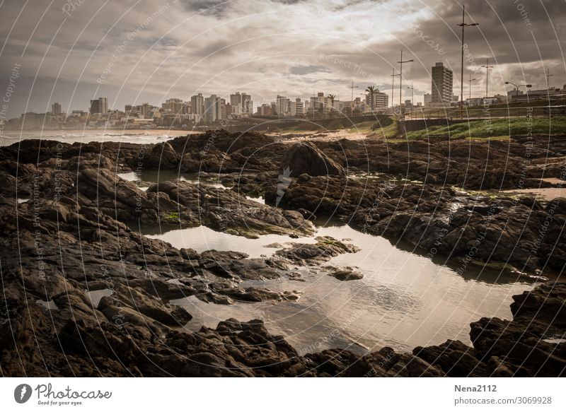 Weitsicht | Salvador de Bahia Umwelt Wasser Himmel Wolken Gewitterwolken Küste Strand Bucht Stadt Hafenstadt gigantisch Südamerika Skyline Atlantik Meer steinig