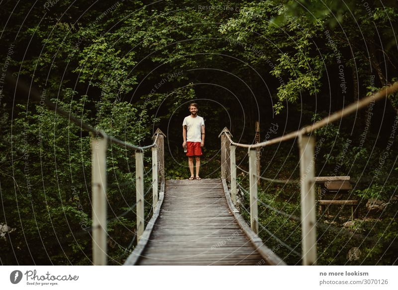 i dare you maskulin 1 Mensch Umwelt Natur Landschaft Sommer Wald stehen Einsamkeit Erfahrung Mittelpunkt Perspektive Tourismus Wege & Pfade Ziel Zukunft