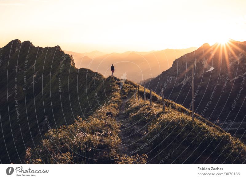 Sonnenuntergang am Zeigersattel Berge u. Gebirge wandern Natur Landschaft Wolkenloser Himmel Sonnenaufgang Sonnenlicht Alpen gigantisch Glück Allgäu