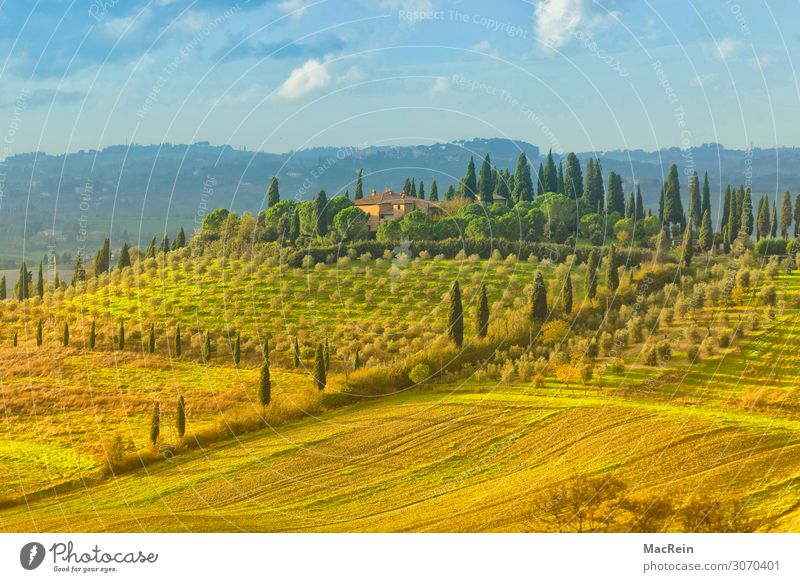 Crete Senesi Haus Landschaft Nebel Hügel Stimmung ruhig Einsamkeit Reisefotografie Toskana Italien Morgendämmerung Farbfoto Außenaufnahme Menschenleer Licht