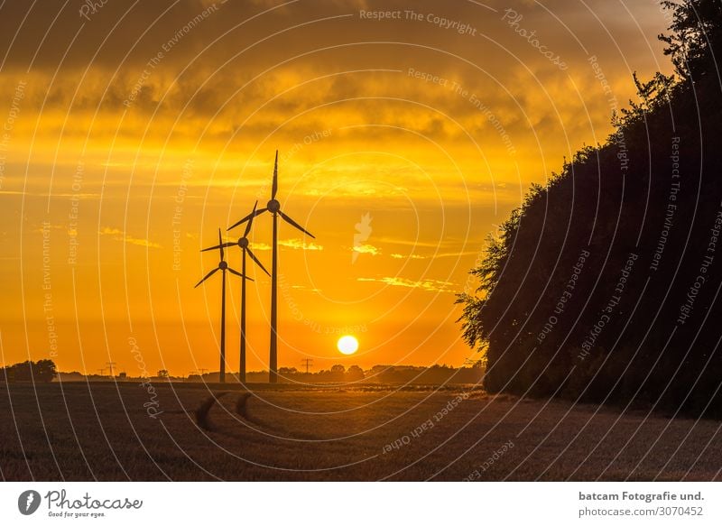 Kleiner Windpark im Sonnenuntergang hinter einem Getreidefeld Erneuerbare Energie Windkraftanlage Umwelt Landschaft Sommer Herbst Klimawandel Schönes Wetter