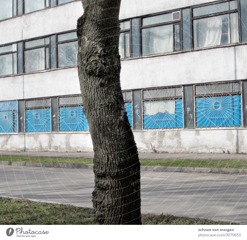 Baum Stadtrand Haus Fassade Verkehrswege bizarr "Osten Litauen Gebäude Baum" Farbfoto Muster Abend