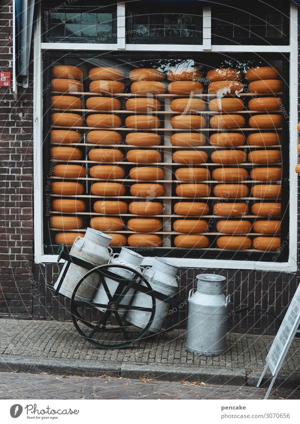 wertvoll | holländisches gold Lebensmittel Käse Milcherzeugnisse Ernährung Kleinstadt Fußgängerzone Mauer Wand Fenster authentisch historisch lecker Gouda