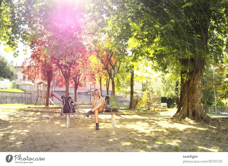 der brenner und der liebe gott lesen feminin Frau Erwachsene 1 Mensch Garten Park sitzen Erholung Zeitvertreib warten Bank Pause Baum Natur Sommer Buch Farbfoto