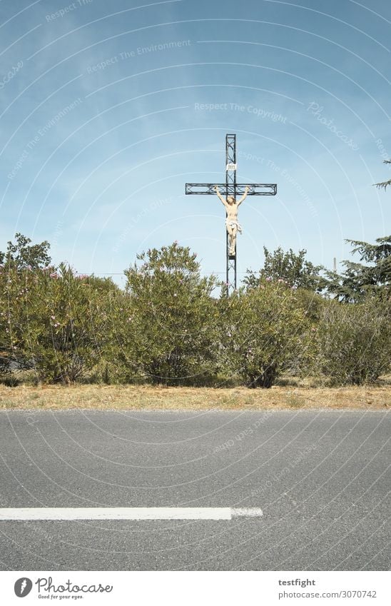 kreuz Umwelt Natur Landschaft Himmel Sommer Baum Grünpflanze Verkehrsmittel Verkehrswege Straße Kreuz Wärme Glaube Religion & Glaube Hoffnung Tradition