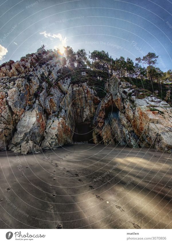 Höhle am Strand Natur Landschaft Pflanze Sand Himmel Horizont Sommer Schönes Wetter Baum Felsen Küste Meer maritim blau braun grün Ebbe Farbfoto Außenaufnahme